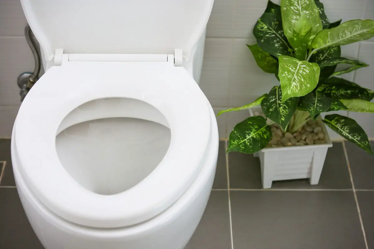 toilettes