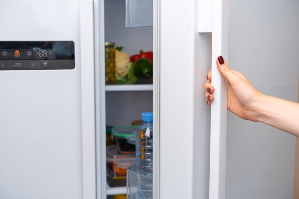 frigo